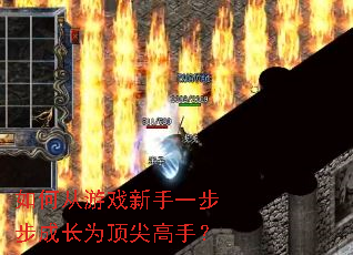 ��δ���Ϸ����һ�����ɳ�Ϊ������֣�