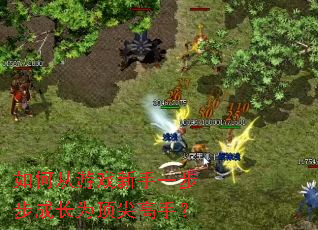 ��δ���Ϸ����һ�����ɳ�Ϊ������֣�