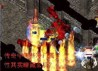 ��������Щ����������ʵ����������