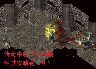 ��������Щ����������ʵ����������