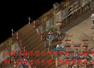 ��λ���ɱ���ڴ���˽����ʵ��������¾���ݺ�ɳ���޵��ֵ��ؾ���ʲô��