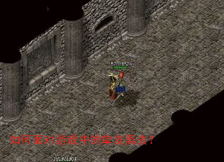 ��������Ϸ�е�ֿ����ȥ��