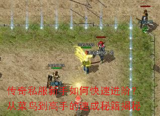 ����˽��������ο��ٽ��ף��Ӳ��񵽸��ֵ��ٳ��ؼ�����