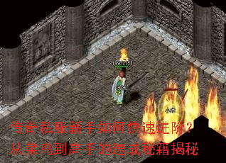 ����˽��������ο��ٽ��ף��Ӳ��񵽸��ֵ��ٳ��ؼ�����