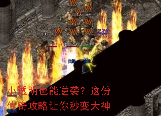 С͸��Ҳ����Ϯ����ݴ��湥������������
