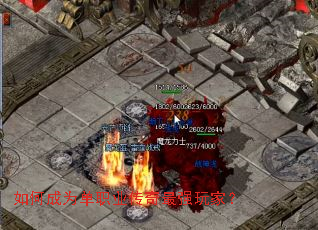 ��γ�Ϊ��ְҵ������ǿ��ң�