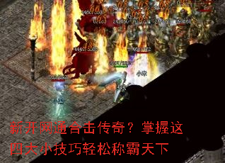 �¿���ͨ�ϻ����棿�������Ĵ�С�������ɳư�����