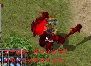 �����ʶ���ϡ���䱦�������ռ�װ������ƽ��ȡ��