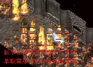 新手如何快速升级?东北区单职霸服传奇私服进阶攻略 新手如何快速升级?东北区单职霸服传奇私服进阶攻略