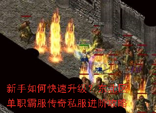 新手如何快速升级?东北区单职霸服传奇私服进阶攻略 新手如何快速升级?东北区单职霸服传奇私服进阶攻略