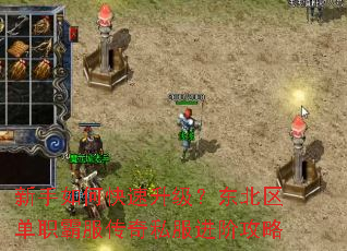 新手如何快速升级?东北区单职霸服传奇私服进阶攻略 新手如何快速升级?东北区单职霸服传奇私服进阶攻略