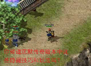 你知道沉默传奇版本中这些隐藏技巧和玩法吗? 你知道沉默传奇版本中这些隐藏技巧和玩法吗?
