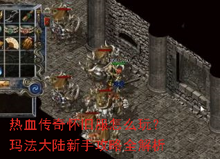 ��Ѫ���滳�ɷ���ô�棿�귨��½���ֹ���ȫ����