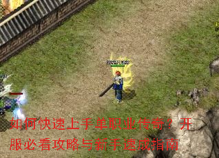 如何快速上手单职业传奇?开服必看攻略与新手速成指南 如何快速上手单职业传奇?开服必看攻略与新手速成指南