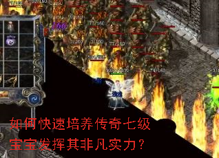 如何快速培养传奇七级宝宝发挥其非凡实力? 如何快速培养传奇七级宝宝发挥其非凡实力?
