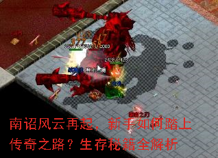 南诏风云再起,新手如何踏上传奇之路?生存秘籍全解析 南诏风云再起,新手如何踏上传奇之路?生存秘籍全解析