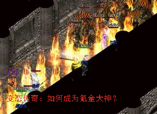 ��̬���棺��γ�Ϊ봽����