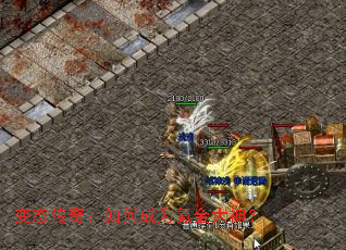 ��̬���棺��γ�Ϊ봽����