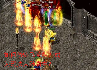 如何修炼飞龙神刀成为玛法大陆霸主? 如何修炼飞龙神刀成为玛法大陆霸主?
