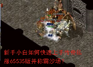 新手小白如何快速上手传奇私服65535版并称霸沙场? 新手小白如何快速上手传奇私服65535版并称霸沙场?
