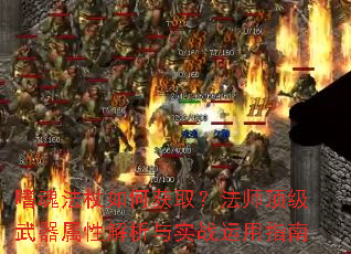 �Ȼ귨����λ�ȡ����ʦ�����������Խ�����ʵս����ָ��