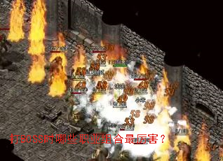 ��BOSSʱ��Щְҵ�����������