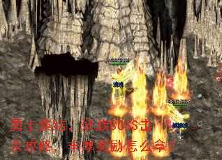 ��ʿ���ᣬ����BOSS��ɱ���ԣ��������ô�ã�
