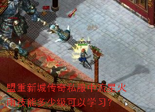 盟重新城传奇私服中流星火雨技能多少级可以学习? 盟重新城传奇私服中流星火雨技能多少级可以学习?