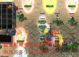 盟重新城传奇私服中流星火雨技能多少级可以学习? 盟重新城传奇私服中流星火雨技能多少级可以学习?