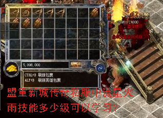 盟重新城传奇私服中流星火雨技能多少级可以学习? 盟重新城传奇私服中流星火雨技能多少级可以学习?