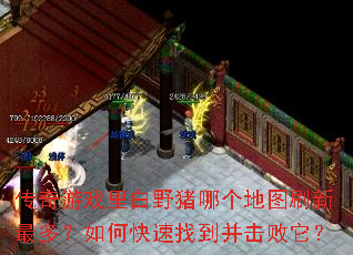 传奇游戏里白野猪哪个地图刷新最多?如何快速找到并击败它? 传奇游戏里白野猪哪个地图刷新最多?如何快速找到并击败它?