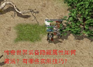 传奇世界装备隐藏属性如何激活?有哪些实用技巧? 传奇世界装备隐藏属性如何激活?有哪些实用技巧?