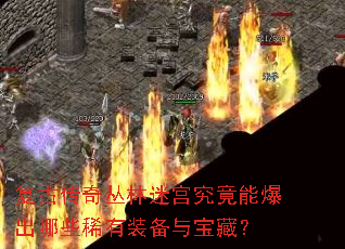 ���Ŵ�������Թ������ܱ�����Щϡ��װ���뱦�أ�
