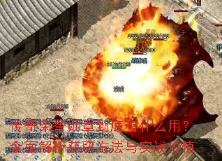 ��������ѫ�µ�����ʲô�ã�ȫ�������ȡ������ʵս��ֵ