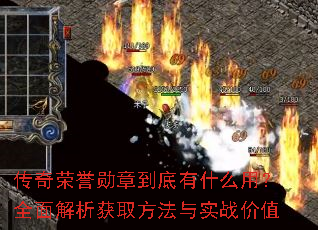 ��������ѫ�µ�����ʲô�ã�ȫ�������ȡ������ʵս��ֵ