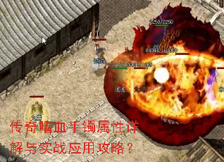 ������Ѫ�������������ʵսӦ�ù��ԣ�