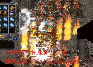 sf999����˽���¿�����ο��������ȼ����ȡװ����