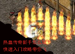 ��Ѫ����������ô�棿�������Ź��Դ����