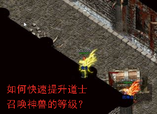 如何快速提升道士召唤神兽的等级? 如何快速提升道士召唤神兽的等级?