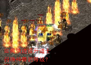 如何快速提升道士召唤神兽的等级? 如何快速提升道士召唤神兽的等级?