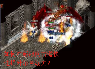 ������·����ŵ�����������ɫս����