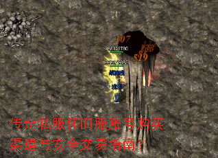 ����˽�����ɷ��˺Ź��������밲ȫ����ָ�ϣ�