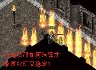 ����˽�����ѡ����ܼȺ������ȶ���