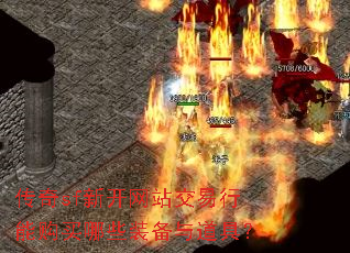 ����sf�¿���վ�������ܹ�����Щװ������ߣ�