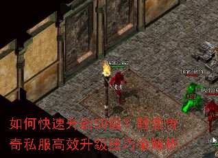 如何快速升到50级?轻变传奇私服高效升级技巧全解析 如何快速升到50级?轻变传奇私服高效升级技巧全解析