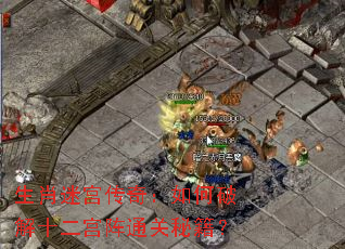 生肖迷宫传奇:如何破解十二宫阵通关秘籍? 生肖迷宫传奇:如何破解十二宫阵通关秘籍?
