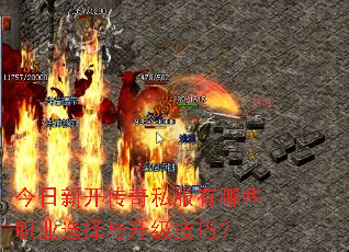 �����¿�����˽������Щְҵѡ�����������ɣ�