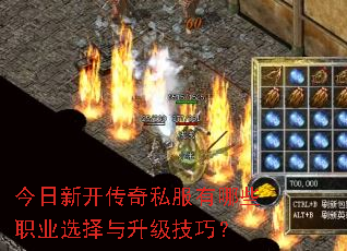 �����¿�����˽������Щְҵѡ�����������ɣ�