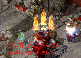 �����¿�����˽������Щְҵѡ�����������ɣ�