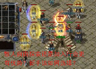 散人自由探索还是加入行会更有优势?新手该如何选择? 散人自由探索还是加入行会更有优势?新手该如何选择?